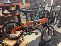 Norco scorpion kids 16” bike