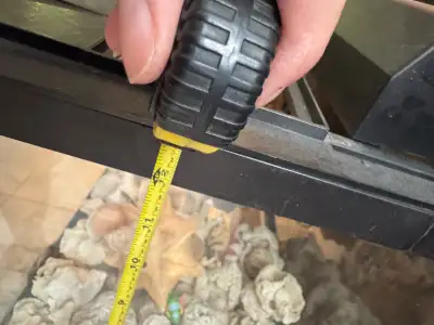 fish tank and shells, View more