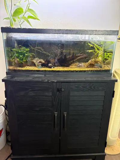 20 Gallon Long Aquarium With Stand & Canister Filter, View more
