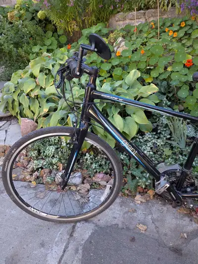 Woman's Giant Escape 3 bicycle, View more