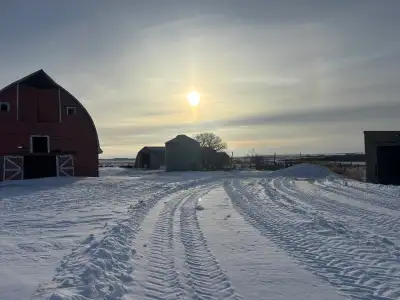 17 acres for sale with house and many out buildings set up well for horses 12 mins east of Saskatoon...