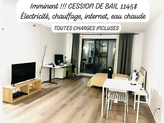 CESSION DE BAIL - GRAND STUDIO 1145$  PROCHE METRO ET REM in Long Term Rentals in City of Montréal - Image 6