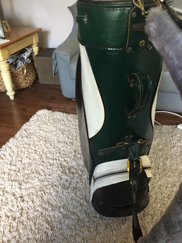 CART Bag in Golf in Edmonton - Image 2