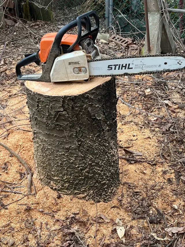 Tree Removal - Tree Trimming - Hedge Trimming -Best Price628632294883871223