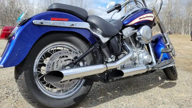 2006 Harley Davidson Heritage Softail FLST in Street, Cruisers & Choppers in Whitehorse - Image 3
