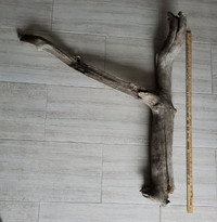 Bois flotté sculpté Shapely driftwood pieces