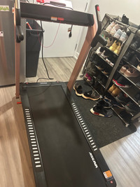 Treadmill - 12 level incline