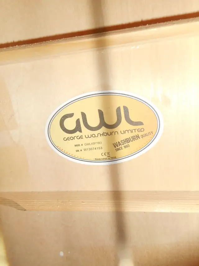 GWL GUITAR GWL45FTSB, +CASE, ADDISSINAL STRINGS in Guitars in Dartmouth - Image 7