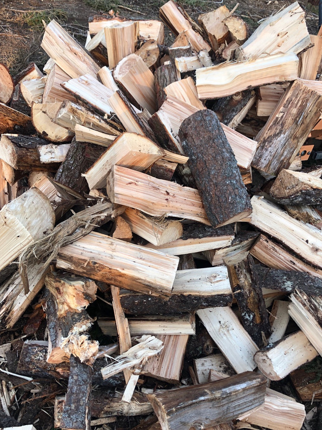 Dry softwood firewood  in Heaters, Humidifiers & Dehumidifiers in Bridgewater