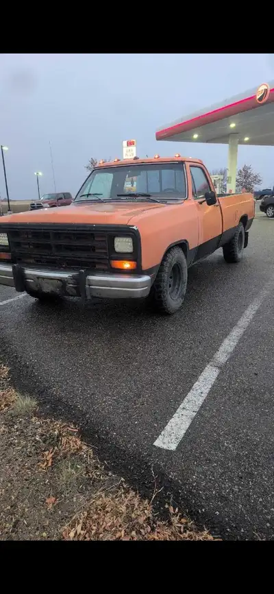 Looking for decent condition 8ft box for square body dodge