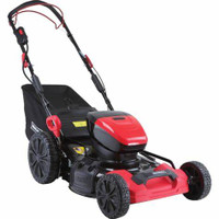 Lawnmower 60 V