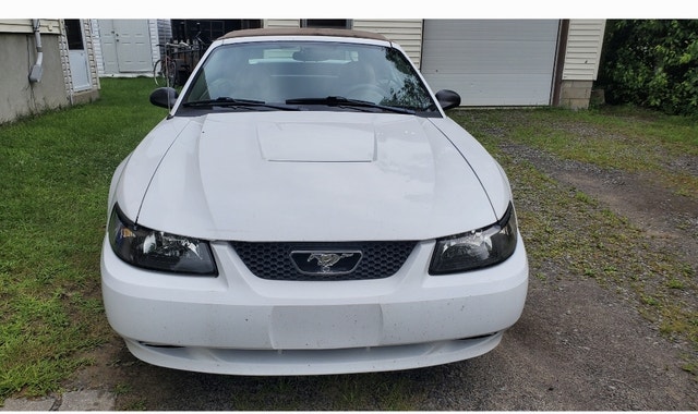 Ford Mustang 2004 5 vittesses — photo 2