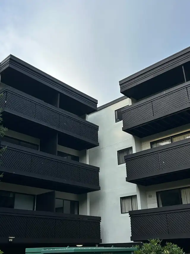 painting services  in Painters & Painting in Victoria - Image 5