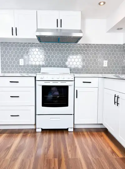 1 Bedroom + Den Basement Apartment