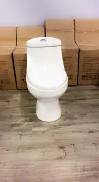 High Efficiency One Piece Toilet SALE! (DUAL FLUSH)