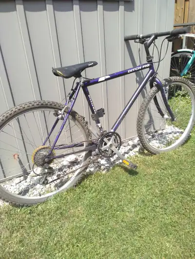 21-speed Dark Purple Phoenix Mountain Bike, View more