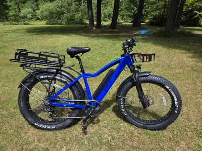 E bike Emmo ewild c2 2024, View more