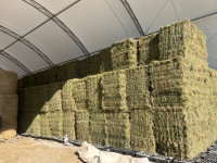 Hay for sale 2nd cut 
