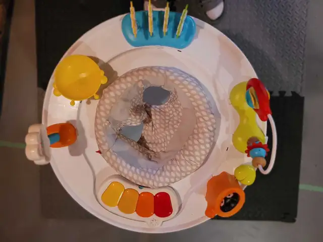 Skip Hop Activity Centre64877473791361120