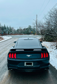 Ford Mustang - Perfect Condition