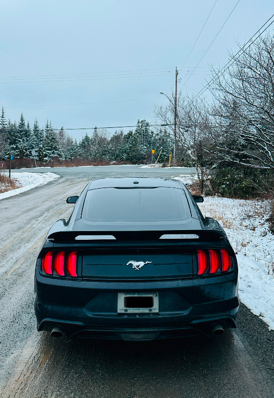 Ford Mustang - Perfect Condition in Cars & Trucks in Dartmouth