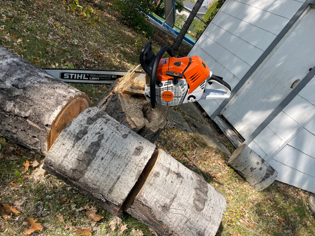 Josh’s tree removal. Fully insured amazing pricing  in Lawn, Tree Maintenance & Eavestrough in Winnipeg - Image 4