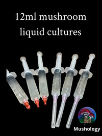 Mushroom liquid cultures 