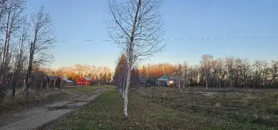Beautiful hobby farm/ acreage for sale. 13 acres 3 bed , 1 bath older bungalow, approx 1100 sqft New...