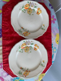 Vintage Meakin Alfred Dinner Plates-2