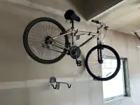 Bike and bike carrier 