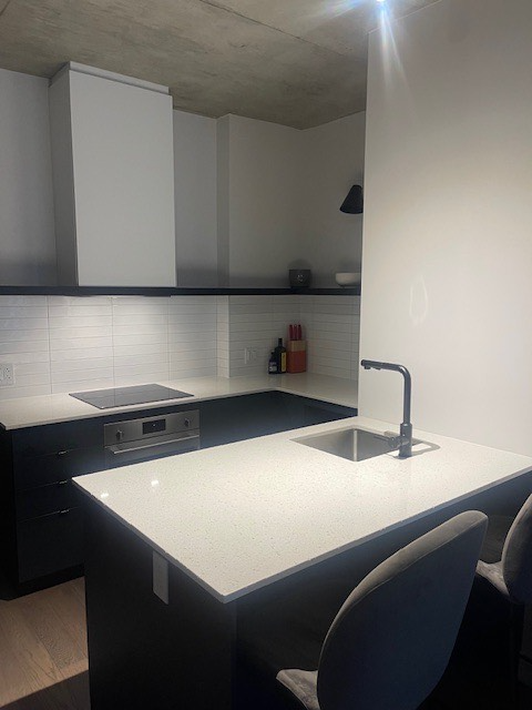 Cession de bail – 3 ½ meublé à Griffintown / Sud-Ouest