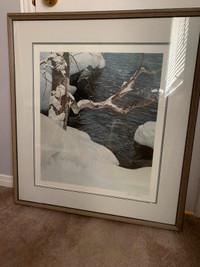 "Kingfisher in Winter"  by Robert Bateman