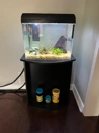 Hello, I’m selling my 15 gallon bowed acrylic fish tank. It comes with rummy nose tetra’s, neon tetr...