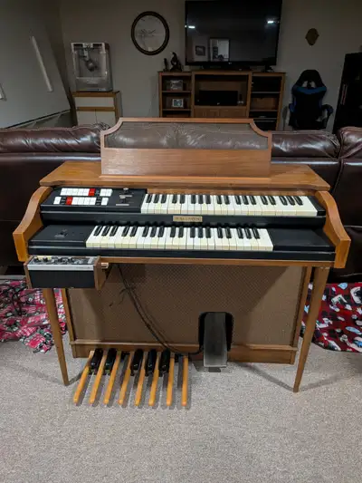 electric organ, View more