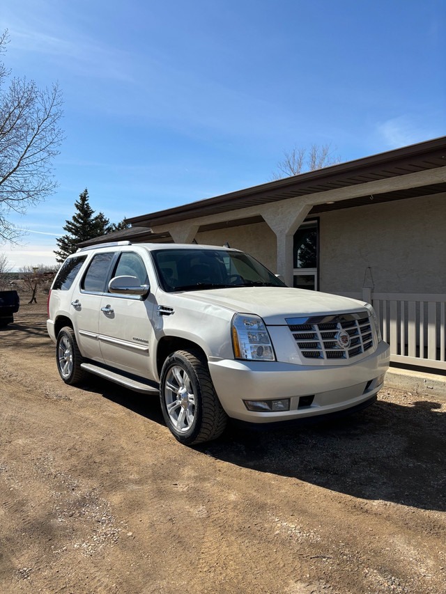 2010 Cadillac Escelade in Cars & Trucks in Moose Jaw