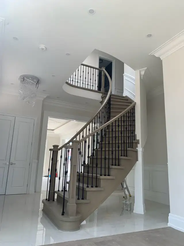 Professional Painter62863221838209123