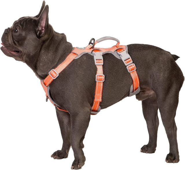 DOG HARNESS LARGE BY HUNTBOO in Accessories in Windsor Region