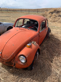 1972 vw beetle