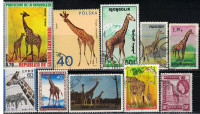 Animal, Giraffe Stamps, 10 Different