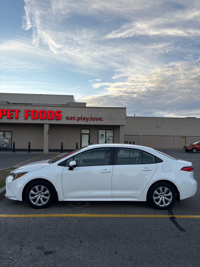 2020 Toyota Corolla LE - 1 Owner, No Accidents, Safety Certified in Cars & Trucks in Mississauga / Peel Region - Image 2