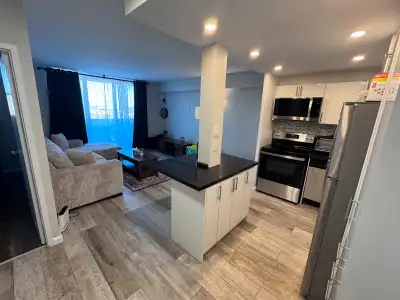Bright Newly Renovated Apartment with Spectacular View