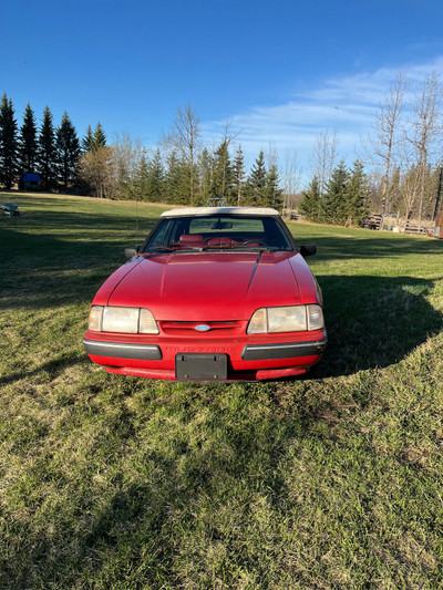 1988 Ford mustang 