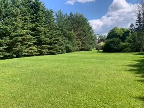Gorgeous Lot Charlton Ontario, Option to Finance by owner in Land for Sale in Sudbury - Image 4