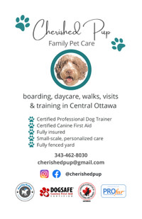 Family dog sitting, 25+ years experience, Certified trainer R+