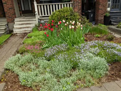 Nice house minutes walk to woodbine Subway and Danforth. Close to Beach, Library, Schools and Park....