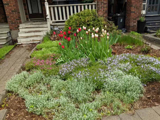 Two bedroom unit for rent in East York in Long Term Rentals in City of Toronto - Image 2