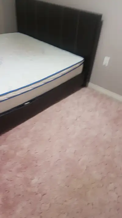 A cozy room for rent near schools and shops; conestoga college campus.