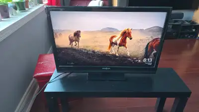 Insignia 29 inches LCD TV with HDMI and Remote, View more