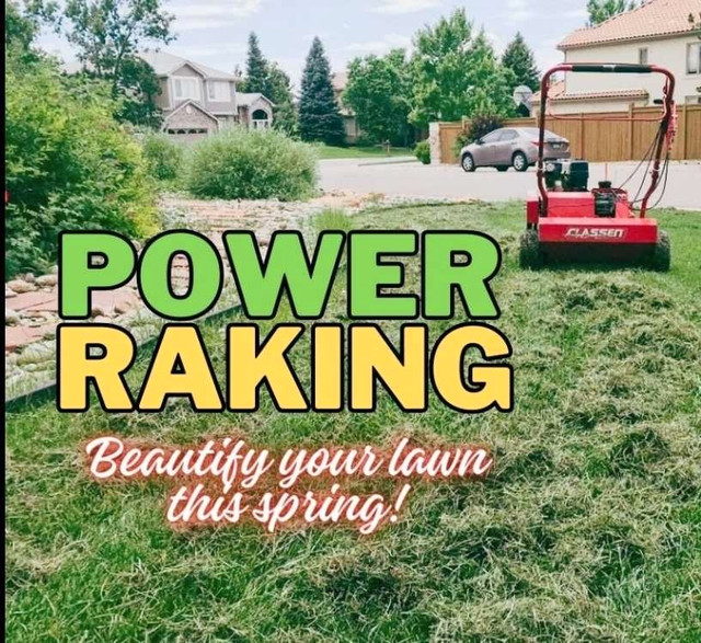 Power Raking in Lawn, Tree Maintenance & Eavestrough in Winnipeg - Image 2