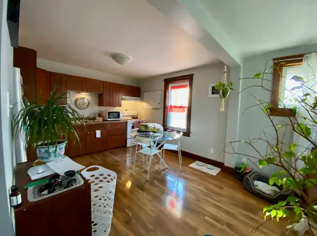 2 bed 1 bath well maintained century home 507 Vic N Kitchener